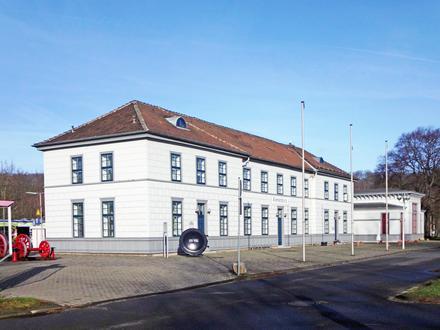 Vienenburg Image