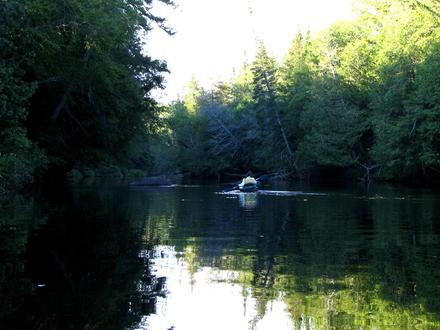 Newcomb Image
