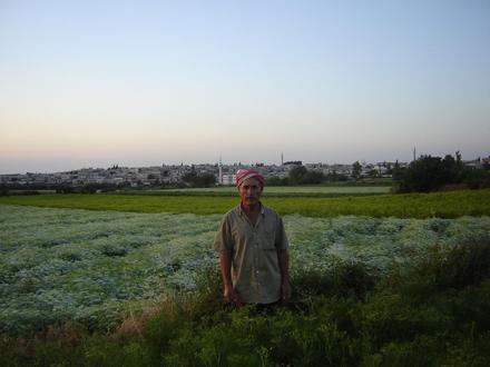 Al Ghanţū Image