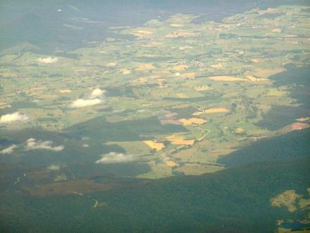 Ringarooma Image