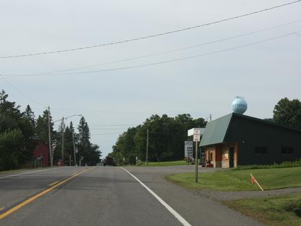 Butternut Image