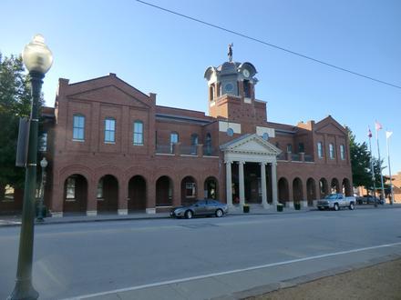 Grapevine Image