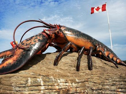 Shediac Image