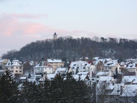 Leonberg Image