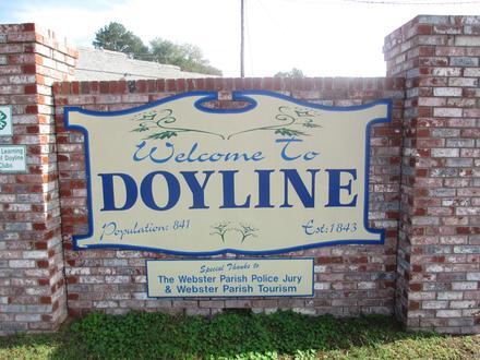 Doyline Image
