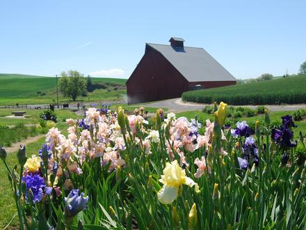 Moscow, Idaho Image