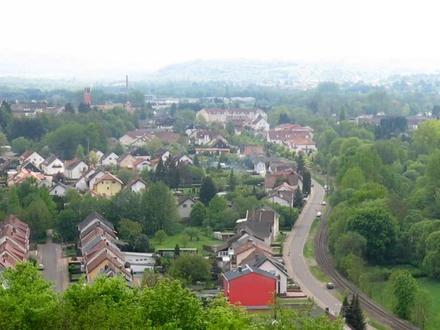 Schmelz Image