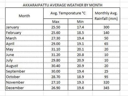 Akkaraipattu Image