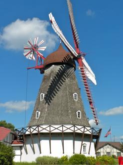 Elk Horn Image
