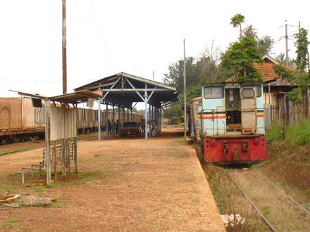 Picha ya Tororo Picha ya Tororo