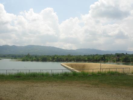 Pilar Image