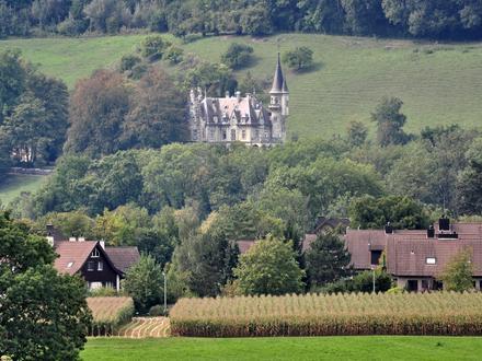 Neftenbach / Dorf Neftenbach Image