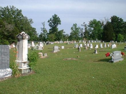 Rosefield Image