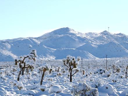 Yucca Valley Image