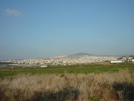 Tamra Image
