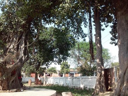 Rura Image