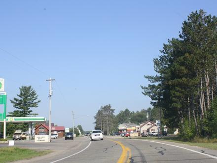 Pickerel Image