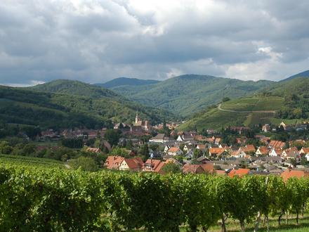 Andlau Image