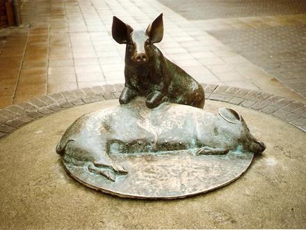 Calne Image