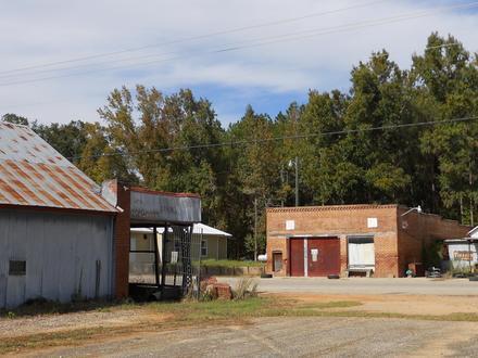 Blue Springs Image