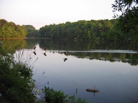 Greenbelt, Maryland Image