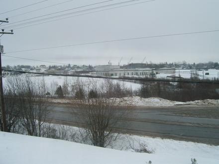 Botwood Image