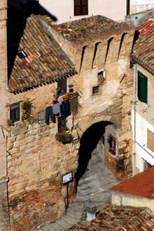 Osimo Image
