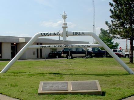 Cushing Image