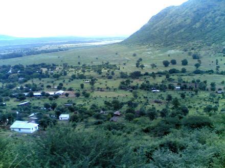 Mombo Image