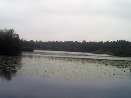 Boves Image