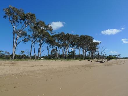 Moore Park Image