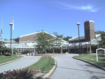 Solon Image