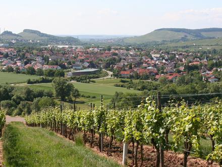 Immagine Ellhofen