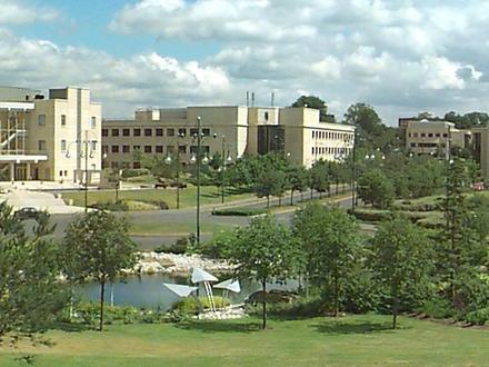 Farnborough Image