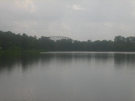 Pineville Image