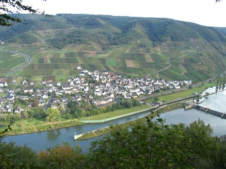 Bruttig-Fankel Image