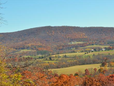 Murrysville Image