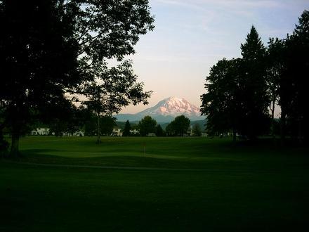 Orting Image