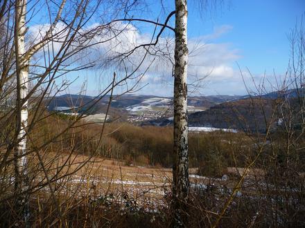 Bedesbach Image