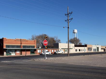 Wilson Image