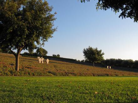 Máleme Image