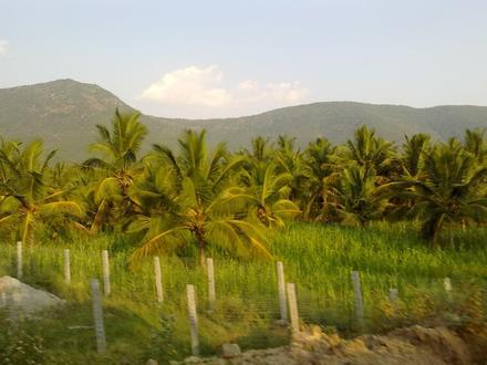 Pāpireddippatti Image