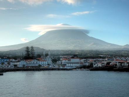 Madalena Image