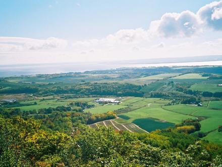 Kingsport Image