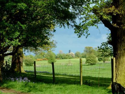 Gambar Beverley