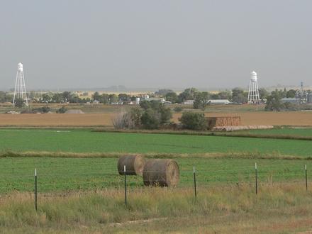 Lyman Image