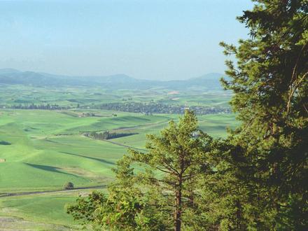 Palouse Image