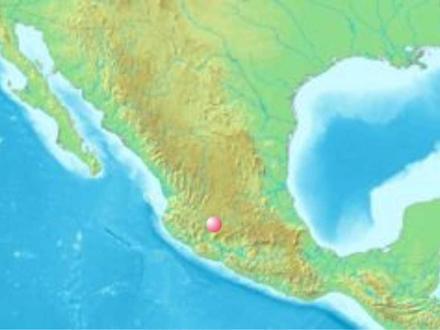 Sahuayo de Morelos Image