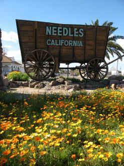 Needles Image