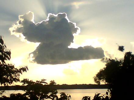 Immagine Mocajuba